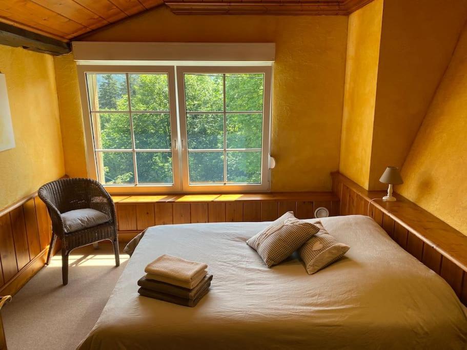 Ferme De Chenezeau - 15 Personnes , 7 Chambres Gérardmer Exterior foto