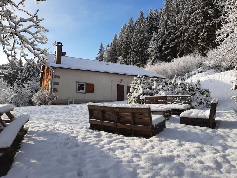 Ferme De Chenezeau - 15 Personnes , 7 Chambres Gérardmer Exterior foto