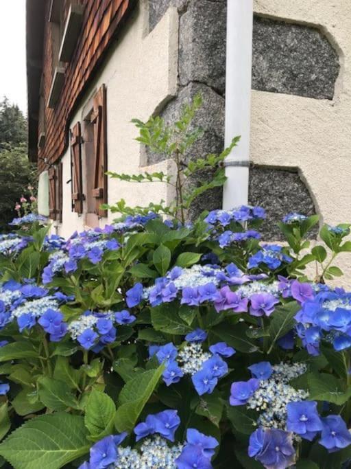 Ferme De Chenezeau - 15 Personnes , 7 Chambres Gérardmer Exterior foto